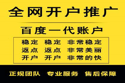 行业领先企业的SEM推广代运营实战经验